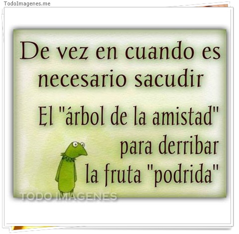 imagen de 8486-20160302-034345