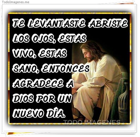 imagen de 006-20161106-181628