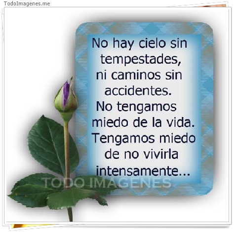 imagen de 526-20160509-130751