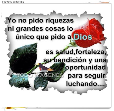 imagen de 8217-20160302-034326
