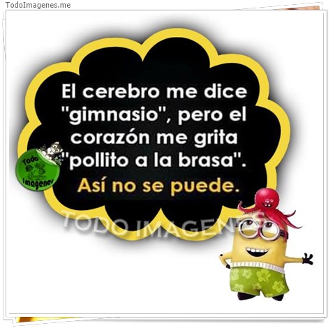 imagen de El cerebro me dice gimnasio, pero el corazon me grita pollito a la brasa. Así no se puede