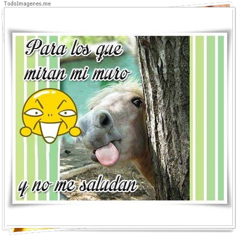 imagen de 6219-20160302-034134