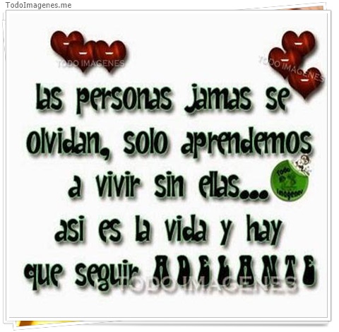 imagen de 5031-20160302-034040