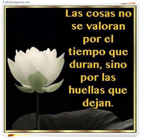 imagen de 5396-20160302-034056