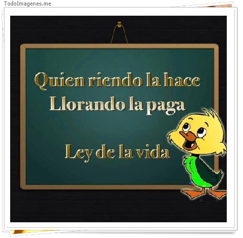 imagen de 031-20160509-130721