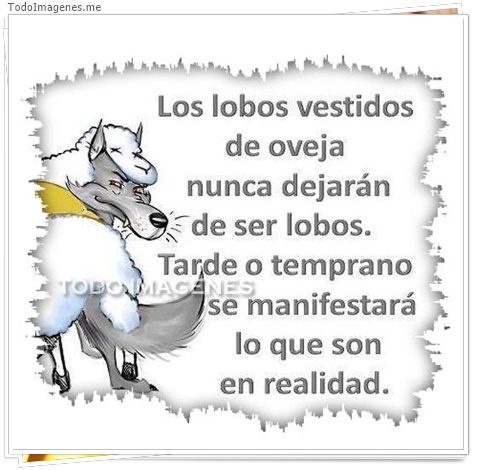 imagen de 7250-20160302-034224