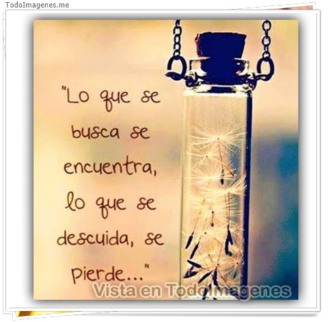 imagen de 11150-20160302-034651