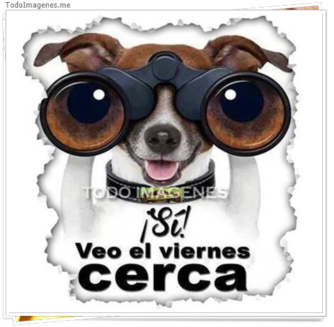 imagen de 405-20160302-033709