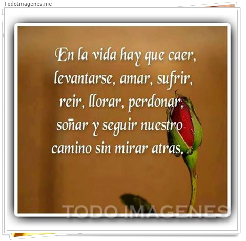 imagen de 663-20160302-033722