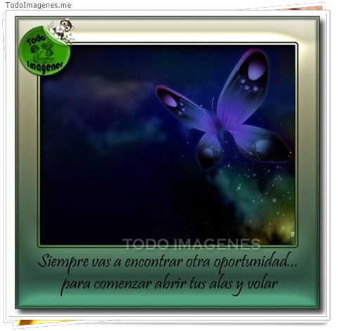 imagen de 9075-20160302-034422
