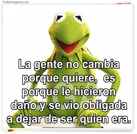 imagen de 4241-20160302-034004