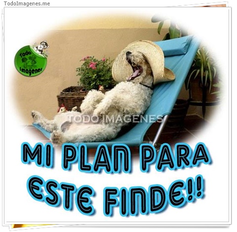 imagen de 5534-20160302-034102