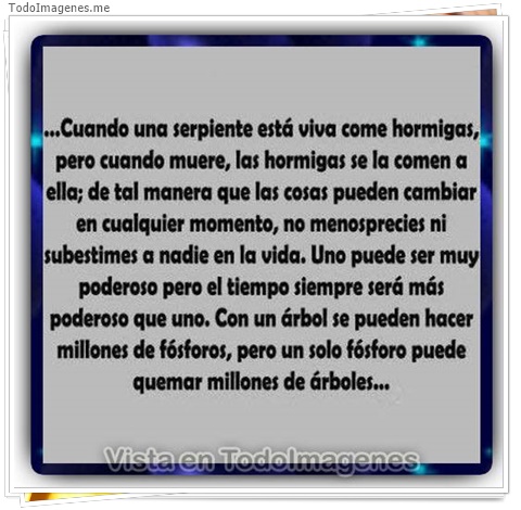 imagen de 10518-20160302-034607