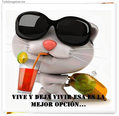imagen de 1804-20160302-033813
