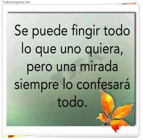 imagen de 2537-20160302-033846