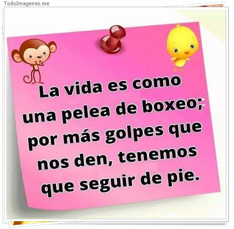 imagen de 5398-20160302-034056