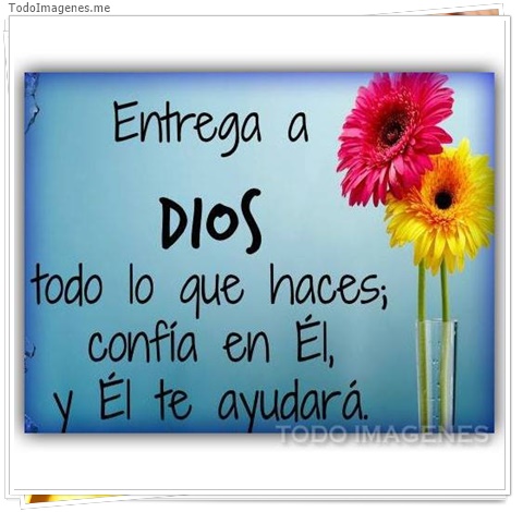 imagen de 8669-20160302-034357