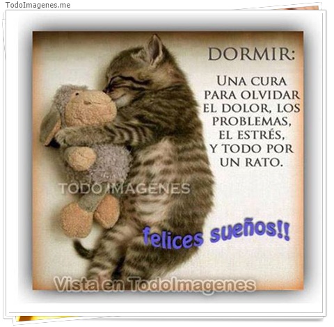 imagen de 10467-20160302-034603