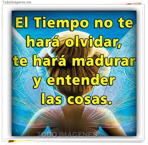 imagen de 8227-20160302-034327