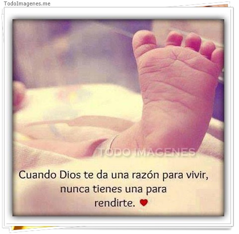 imagen de 9409-20160302-034444