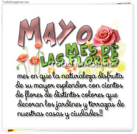 imagen de 9358-20160302-034441