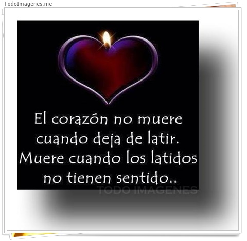 imagen de 8457-20160302-034343