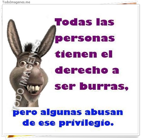 imagen de 10116-20160302-034536