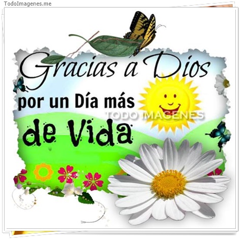 imagen de 9711-20160302-034505