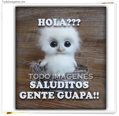 imagen de 10098-20160302-034535