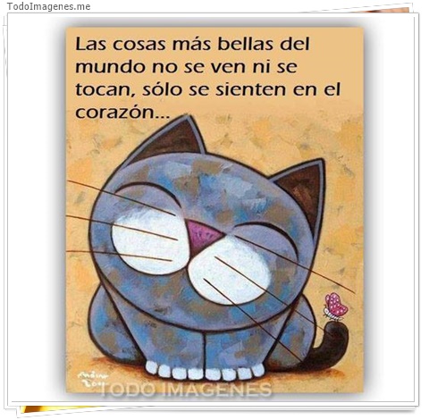 imagen de 7953-20160302-034307