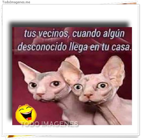 imagen de tus vecino, cuando algún desconocido llega en tu casa.