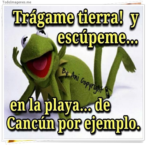 imagen de 4159-20160302-034000