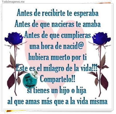 imagen de 8448-20160302-034342