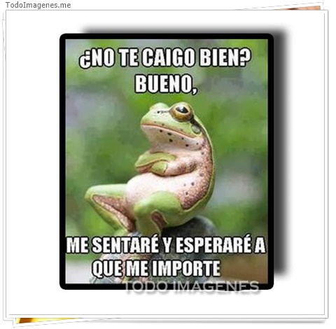 imagen de 6852-20160302-034203