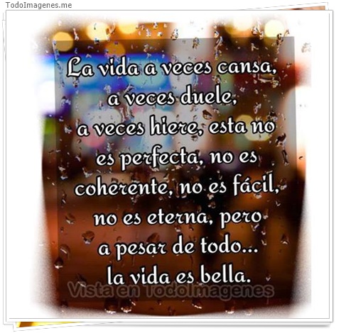 imagen de 11245-20160302-034657