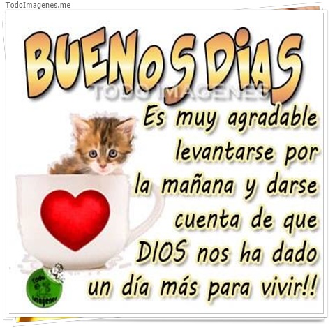 imagen de 7752-20160302-034255