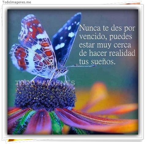 imagen de 9474-20160302-034448