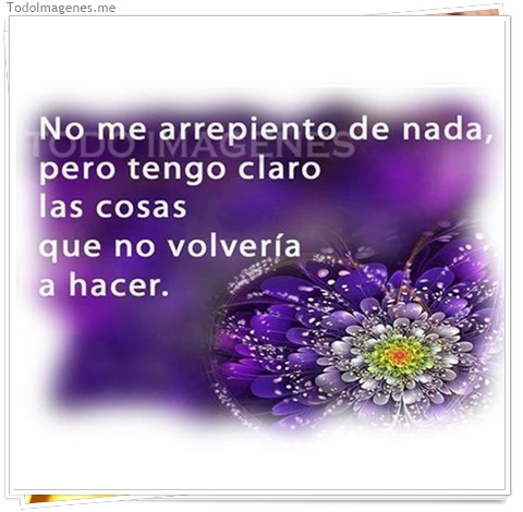 imagen de 153-20160810-120254