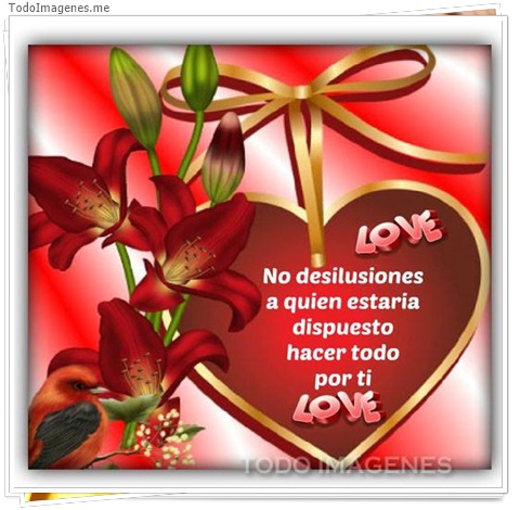 imagen de 5204-20160302-034047