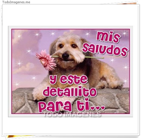 imagen de 3589-20160302-033935
