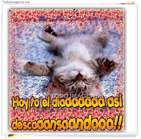 imagen de 8389-20160302-034338