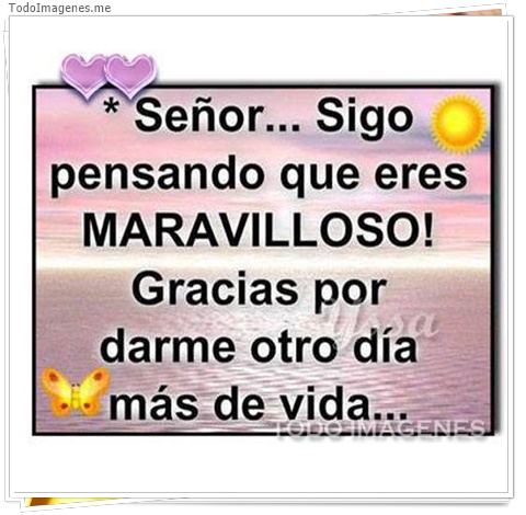 imagen de 11503-20160302-034715