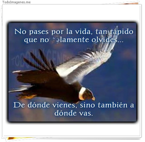 imagen de 3211-20160302-033918