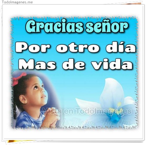 imagen de 382-20160810-120304