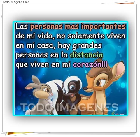 imagen de 2425-20160302-033841