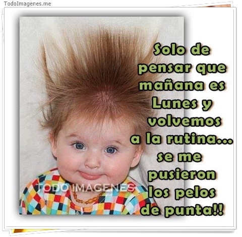 imagen de 5006-20160302-034039