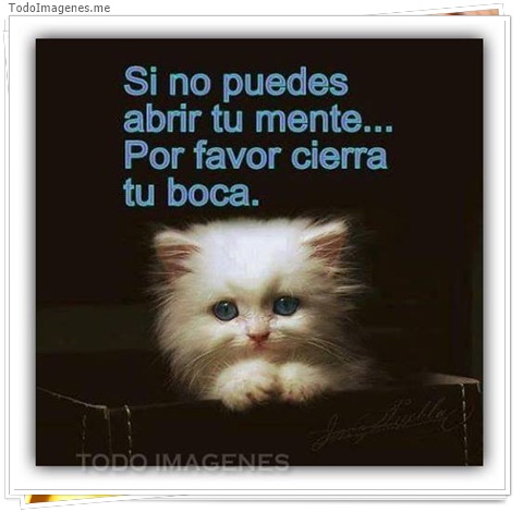 imagen de 6161-20160302-034131