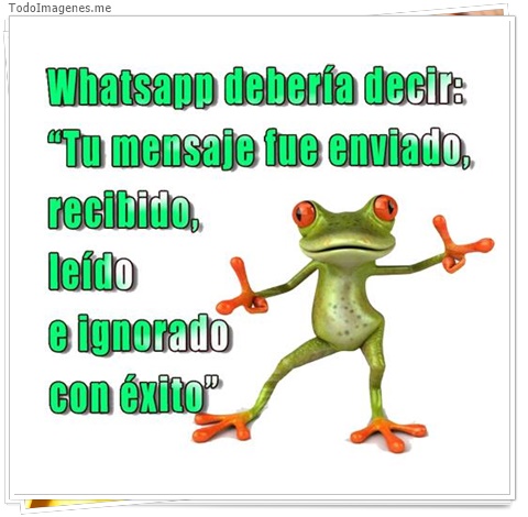 imagen de 1435-20160302-033756