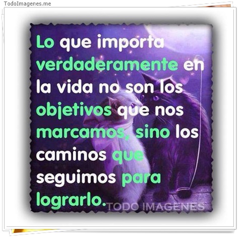 imagen de 6373-20160302-034142