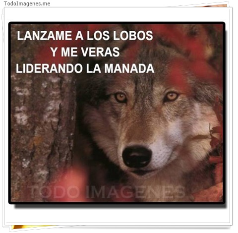 imagen de 1339-20160302-033752